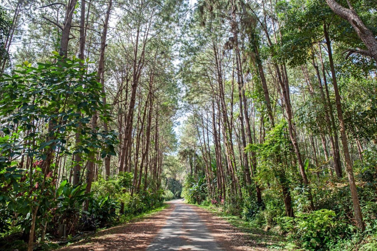 Khaokhoherbary Organicfarm&Resort Khao Kho Buitenkant foto