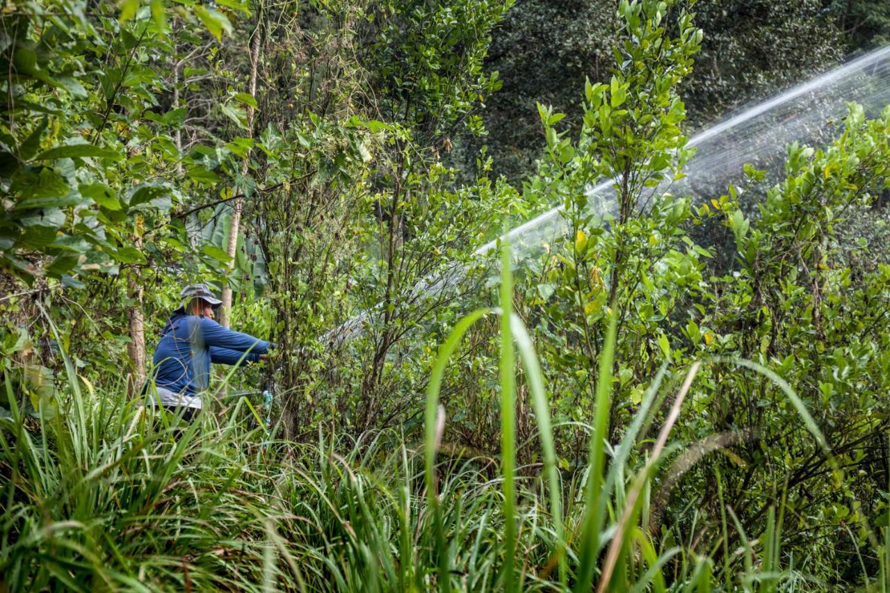 Khaokhoherbary Organicfarm&Resort Khao Kho Buitenkant foto