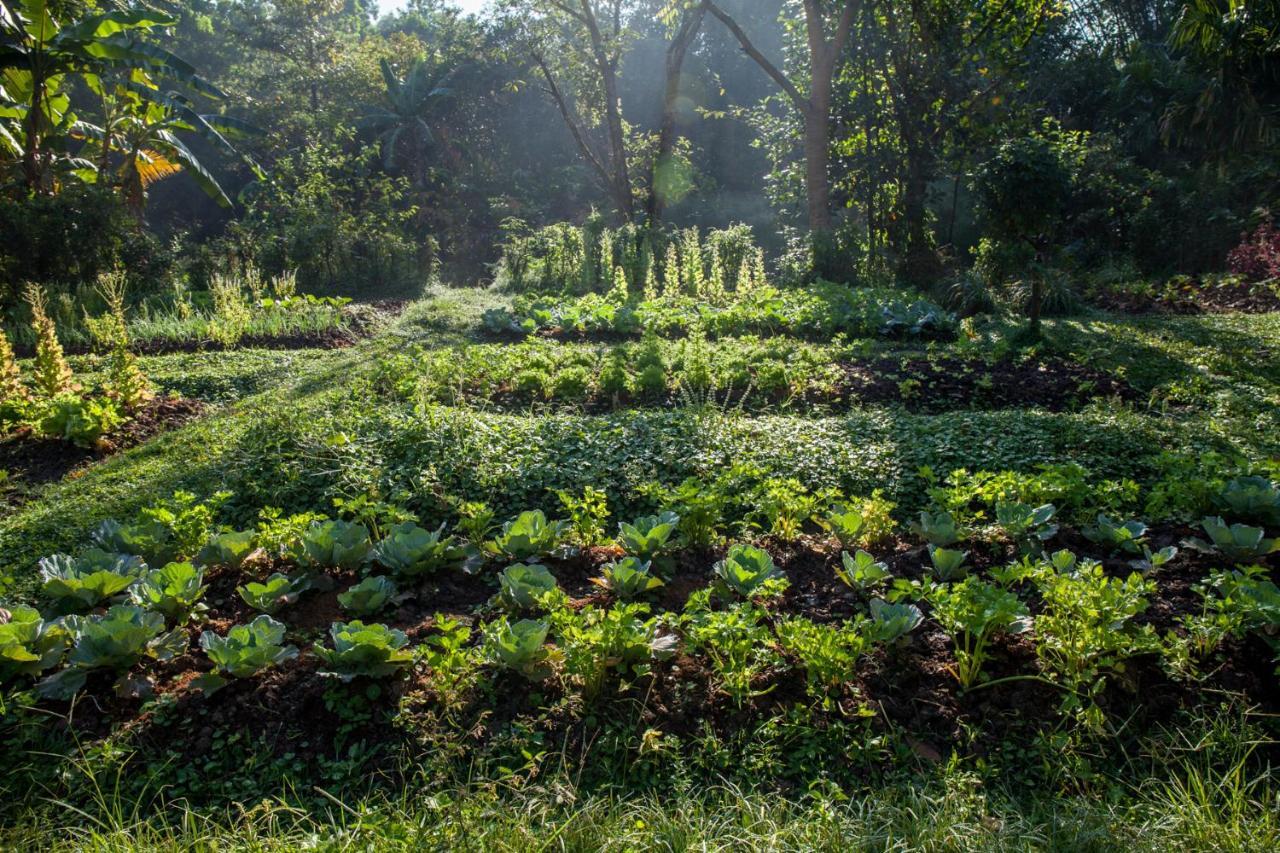 Khaokhoherbary Organicfarm&Resort Khao Kho Buitenkant foto