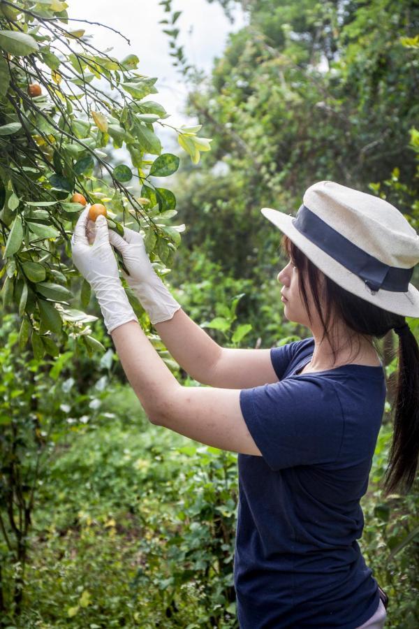 Khaokhoherbary Organicfarm&Resort Khao Kho Buitenkant foto